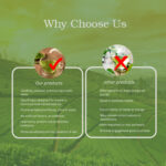 Vedastri Herbal PCOS & Menstrual Relief Tea - Image 4